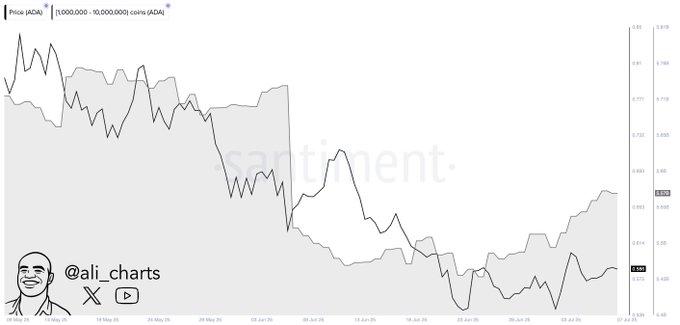 Gráfico de precios de Cardano (ADA) que muestra variaciones en el tiempo, con líneas que indican cambios en el valor y volumen de transacciones.