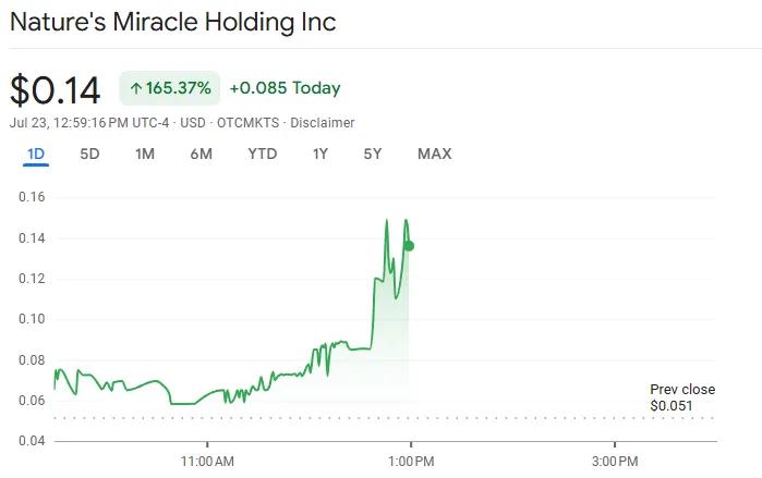 Gráfica que muestra el aumento del precio de las acciones de Nature's Miracle Holding Inc. a $0.14, indicando un aumento del 165.37% en un día, con datos de julio 23.
