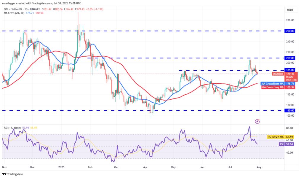 Gráfico de precios de Solana (SOL) frente a Tether (USDT) desde noviembre de 2024 hasta julio de 2025, mostrando líneas de medias móviles y niveles de soporte y resistencia.