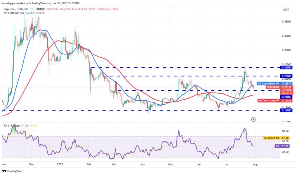 Gráfico de precios de Dogecoin (DOGE) contra Tether (USDT), mostrando medias móviles de 20 y 50 días, niveles de soporte y resistencia, así como el Índice de Fuerza Relativa (RSI) en un período diario.