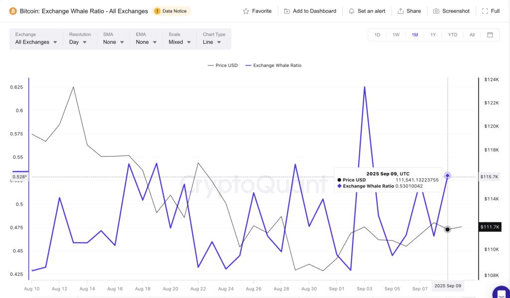 Gráfico que muestra la relación de ballenas de Bitcoin en exchanges, con líneas que indican el precio en USD y el ratio de ballenas a lo largo del tiempo.