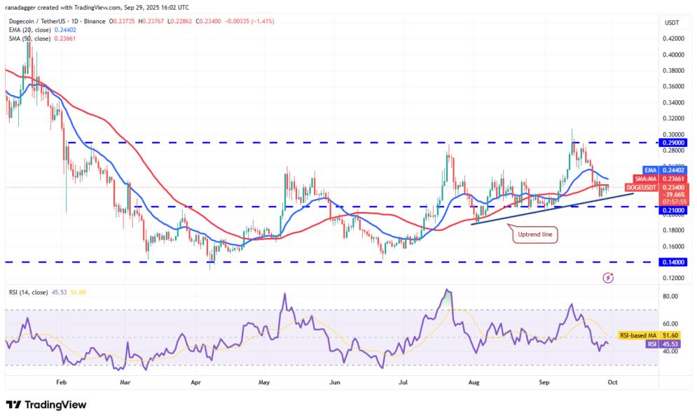 Gráfico de análisis técnico de Dogecoin (DOGE) que muestra líneas de tendencia, medias móviles y niveles de soporte y resistencia con el índice RSI en la parte inferior.