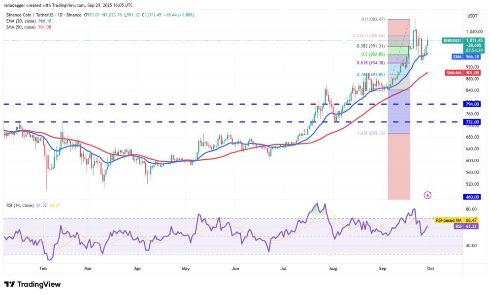 Gráfico técnico de Binance Coin (BNB) con análisis de precios y niveles clave, incluyendo la EMA y SMA, así como el indicador RSI en la parte inferior.
