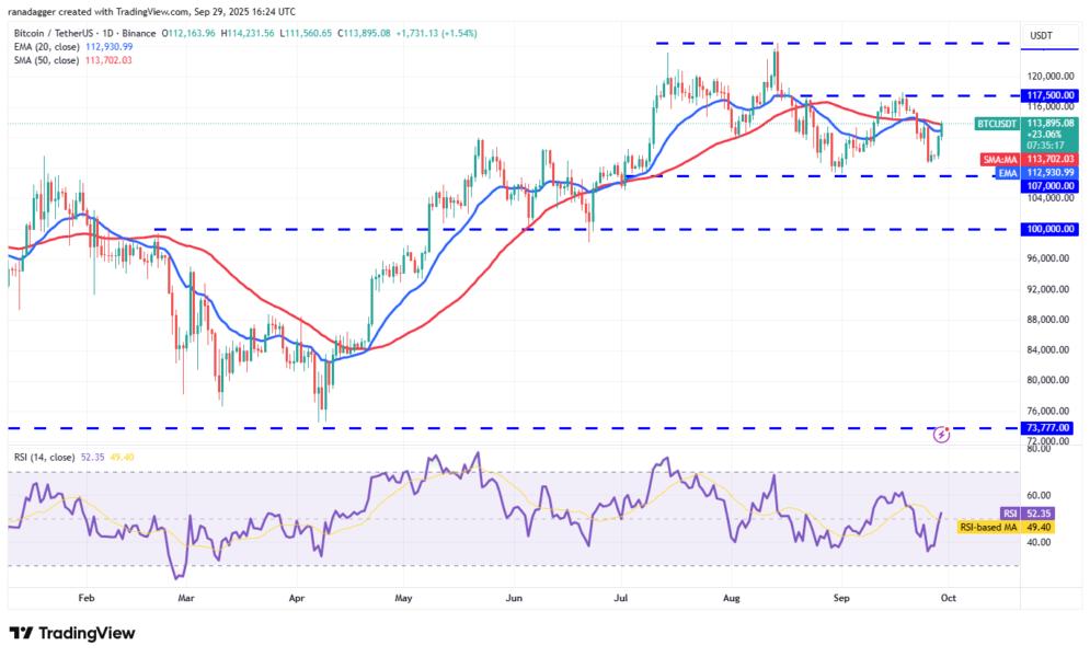 Gráfico de análisis técnico de Bitcoin (BTC) que muestra precios recientes, medias móviles y niveles de soporte y resistencia. Incluye el RSI en la parte inferior.