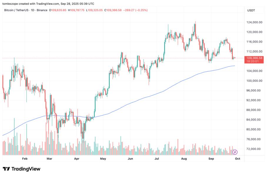 Gráfico de precios de Bitcoin (BTC) en el intercambio Binance, mostrando la evolución desde principios de año con un mínimo de $74,000 y máximos de más de $120,000, con una línea de tendencia que indica una fase de consolidación.