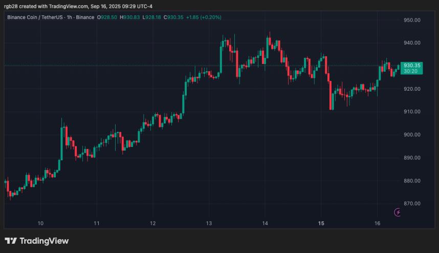 Gráfico de precios de Binance Coin (BNB) frente a Tether (USDT) mostrando tendencias de precios y fluctuaciones en un periodo de tiempo específico.