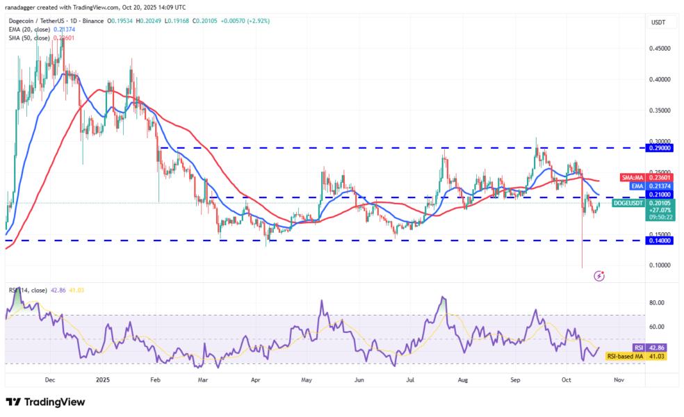 Gráfico de precios de Dogecoin (DOGE) frente a Tether (USDT) con medias móviles y niveles de soporte y resistencia destacados.