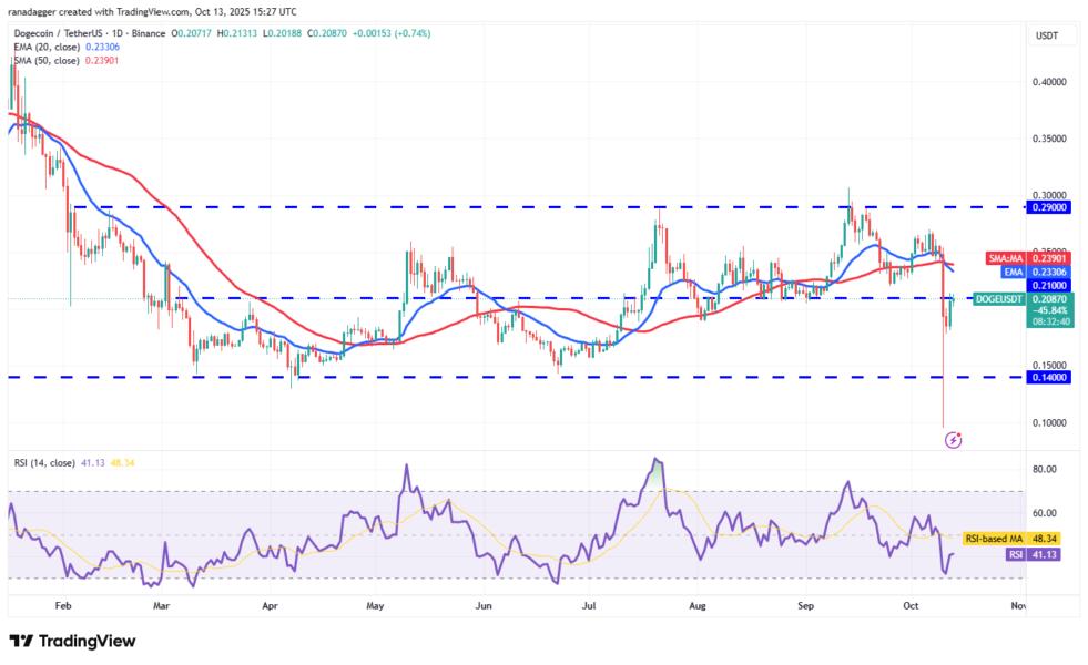 Gráfico de precios de Dogecoin (DOGE) frente a Tether (USDT), mostrando el rendimiento diario, medias móviles de 20 y 50 días, con niveles de soporte y resistencia destacados.